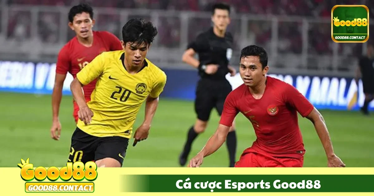 Cá cược Esports Good88 – Trải Nghiệm Cờ Bạc Trong Game 2 Cá Cược Esports Good88 Là Gì? Tìm Hiểu Các Loại Kèo Phổ Biến